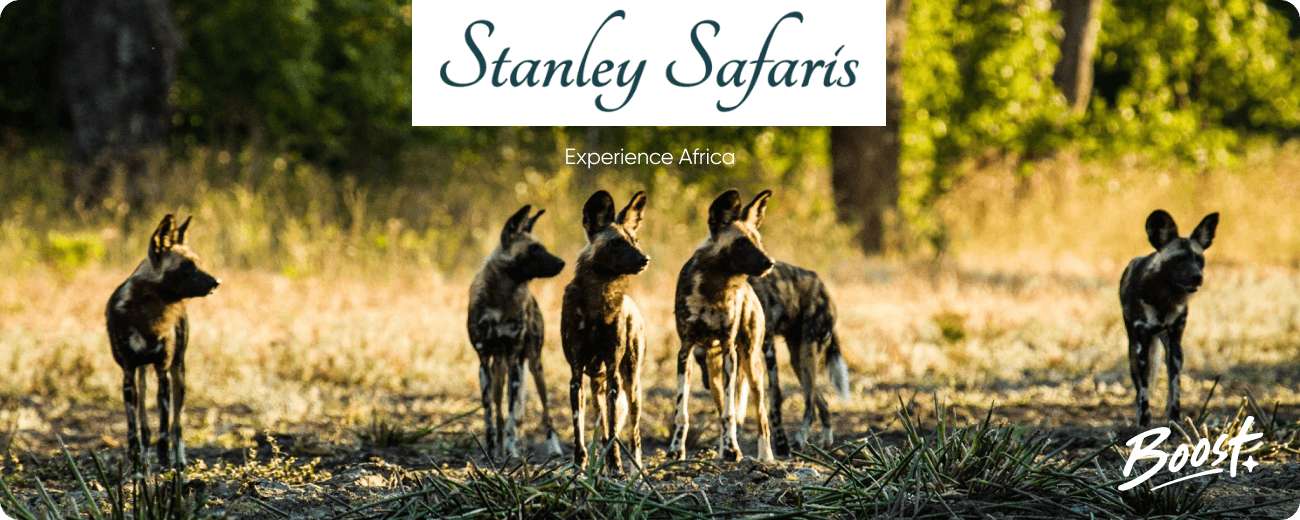 Stanley Safaris Case Study